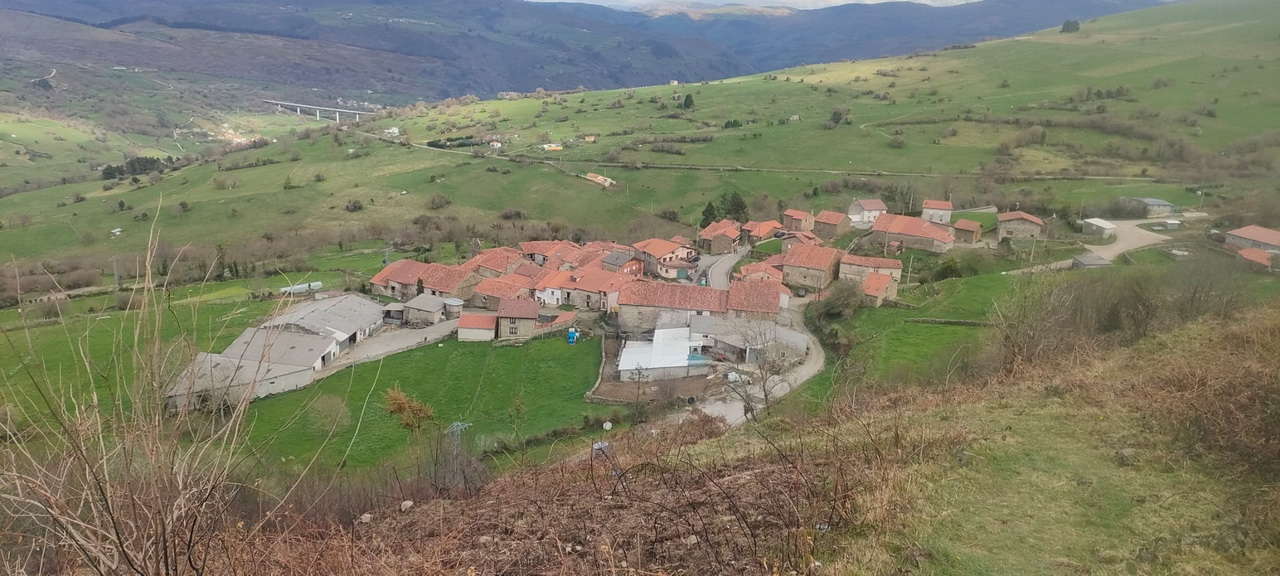 WhatsApp Image 2026-03-08 at 21.27.53